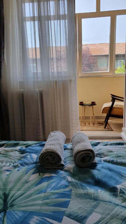 Apartament Estera Daire Oradea Dış mekan fotoğraf